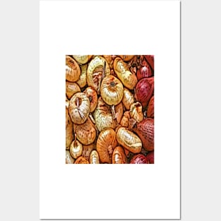 Onions Posters and Art